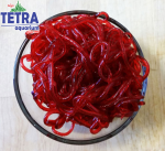غذای ماهی کرم خونی - لارو ها