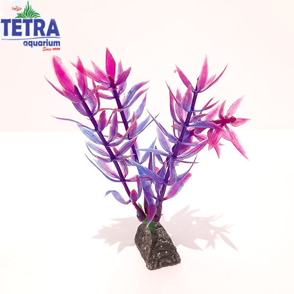 مشصخات . قیمت و خرید گیاه مصنوعی درخت کوچک آبی آکواریوم طبیعی و زیبا