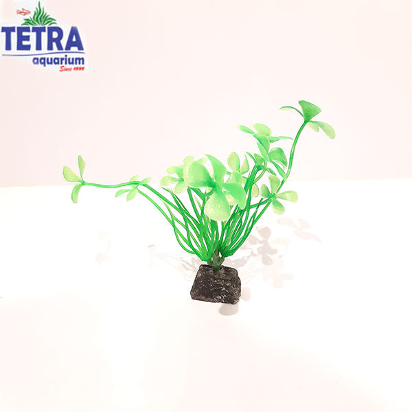 مشخصات . قیمت و خرید گیاه مصنوعی درخت سبز کوچک آکواریوم طبیعی و زیبا