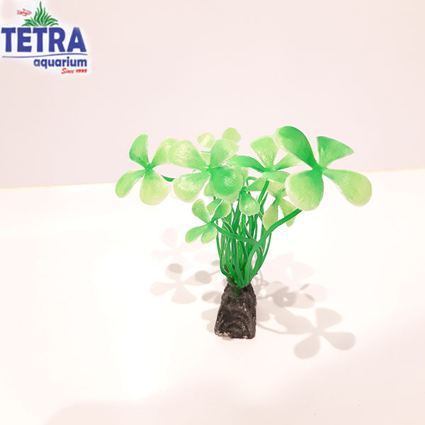 خرید آنلاین و ارسال رایگان گیاه مصنوعی درخت سبز کوچک آکواریوم طبیعی و زیبا
