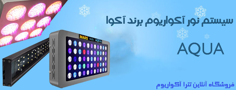 promo-banner-image