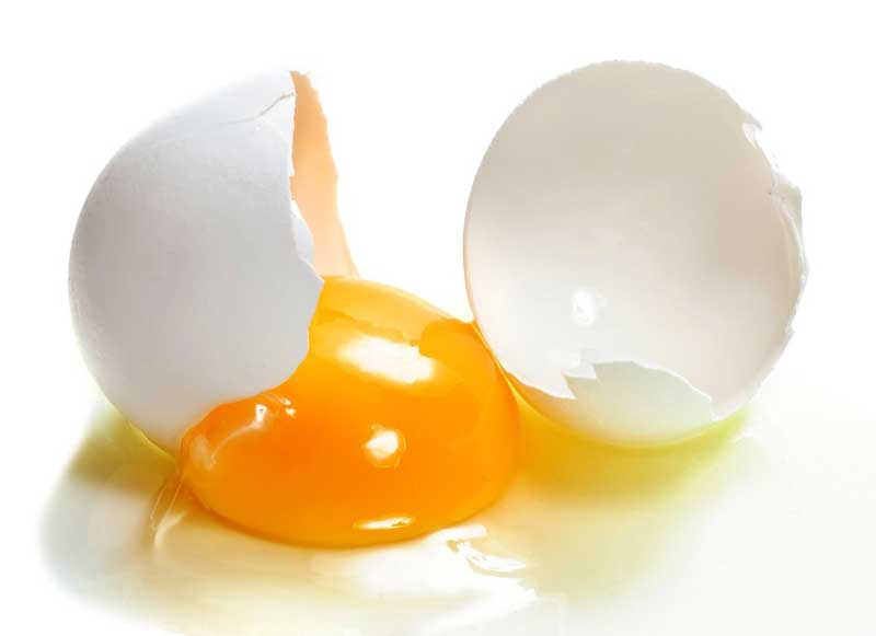 غذای ماهی اوو ویت تروپیکال حاوی زرده تخم مرغ