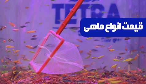 promo-banner-image