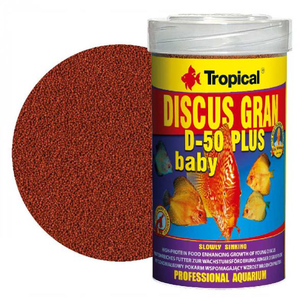 Discus-Gran-D-50-Plus-Baby-Tropical