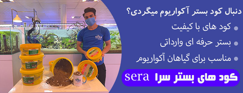 کود بستر سرا
