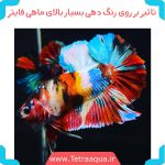 غذای ماهی فایتر برند تروپیکال