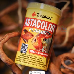 غذای ماهی آستا کالر پولکی تروپیکال AstaColor Flakes Tropical