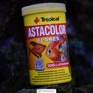غذای ماهی آستا کالر پولکی تروپیکال AstaColor Flakes Tropical