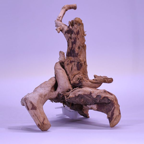 چوب دکوری آکواریوم driftwood code:w114