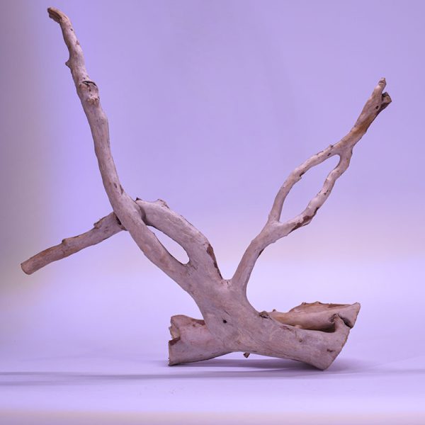 چوب دکوری آکواریوم driftwood code:w115