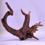 چوب دکوری تنه آکواریوم driftwood code:wb118