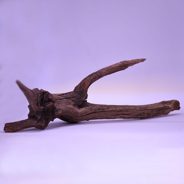 چوب دکوری تنه آکواریوم driftwood code:wb119
