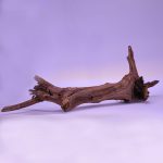 چوب دکوری تنه آکواریوم driftwood code:wb120