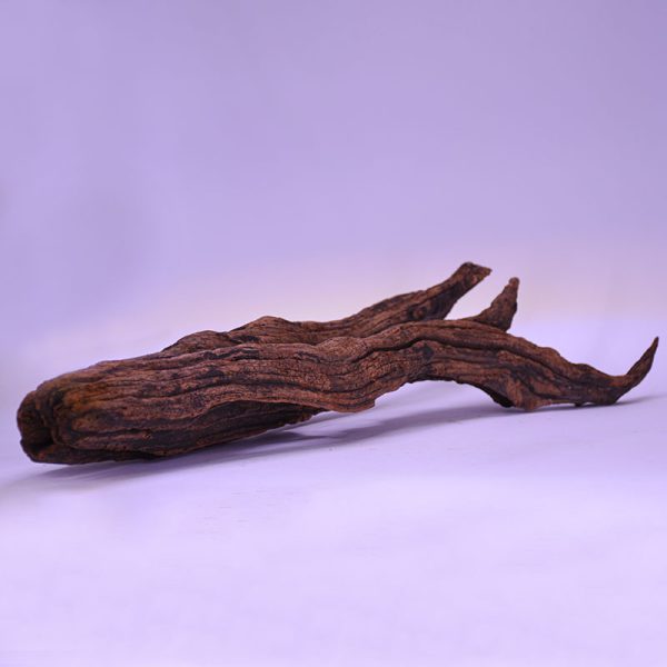 چوب دکوری تنه آکواریوم driftwood code:wb121