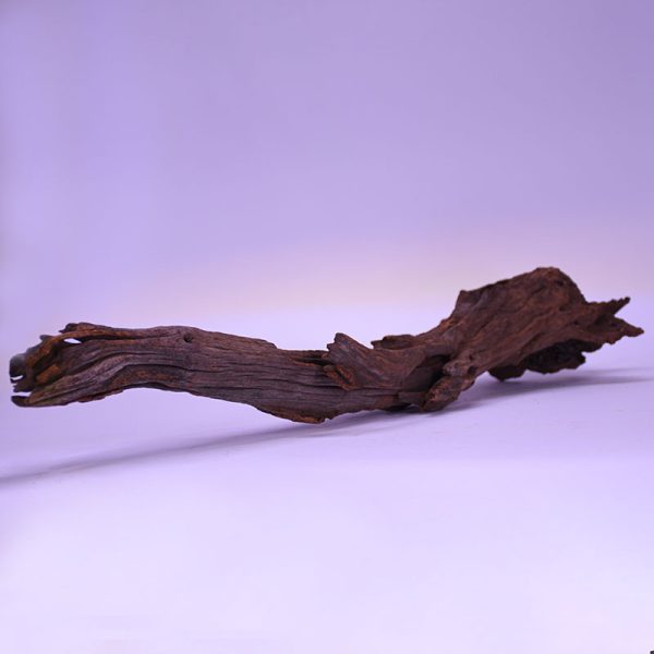 چوب دکوری تنه آکواریوم driftwood code:wb123