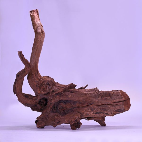 چوب دکوری تنه آکواریوم driftwood code:wb125