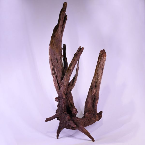 چوب دکوری تنه آکواریوم driftwood code:wb127