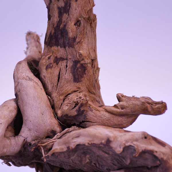 چوب دکوری آکواریوم driftwood code:w114