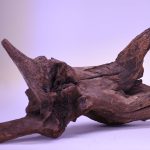 چوب دکوری تنه آکواریوم driftwood code:wb119