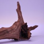 چوب دکوری تنه آکواریوم driftwood code:wb120