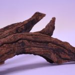 چوب دکوری تنه آکواریوم driftwood code:wb121