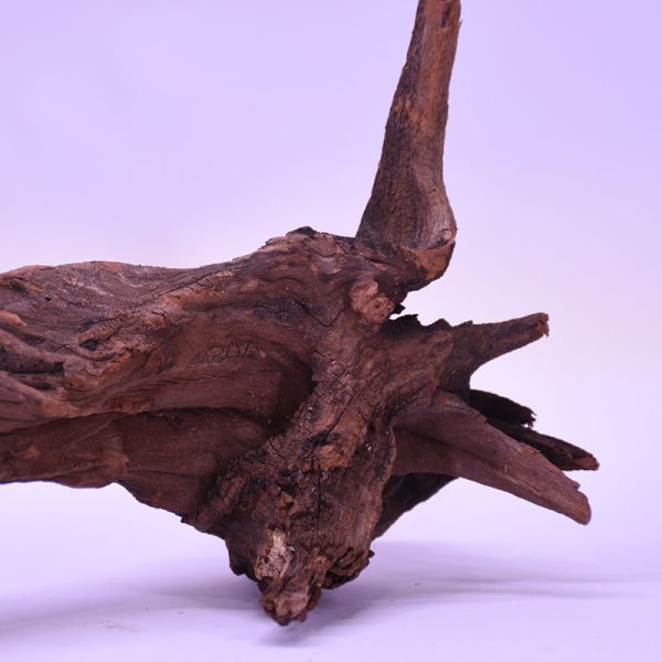 چوب دکوری تنه آکواریوم driftwood code:wb124