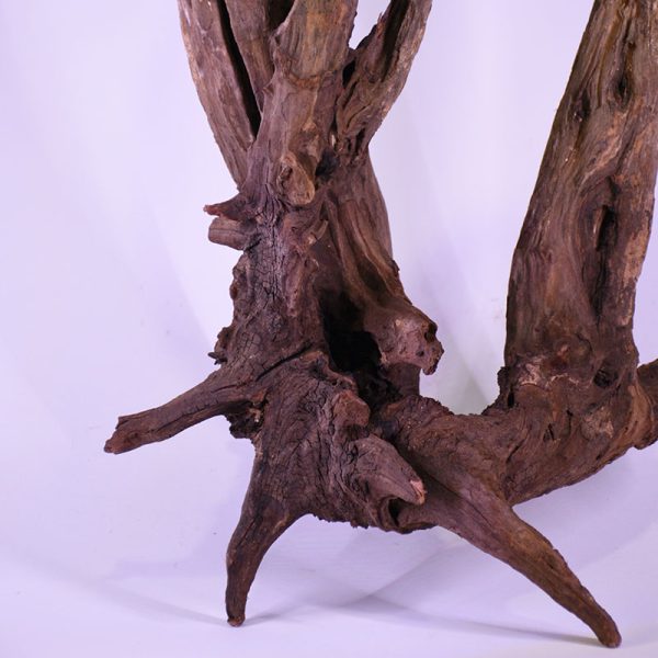 چوب دکوری تنه آکواریوم driftwood code:wb127
