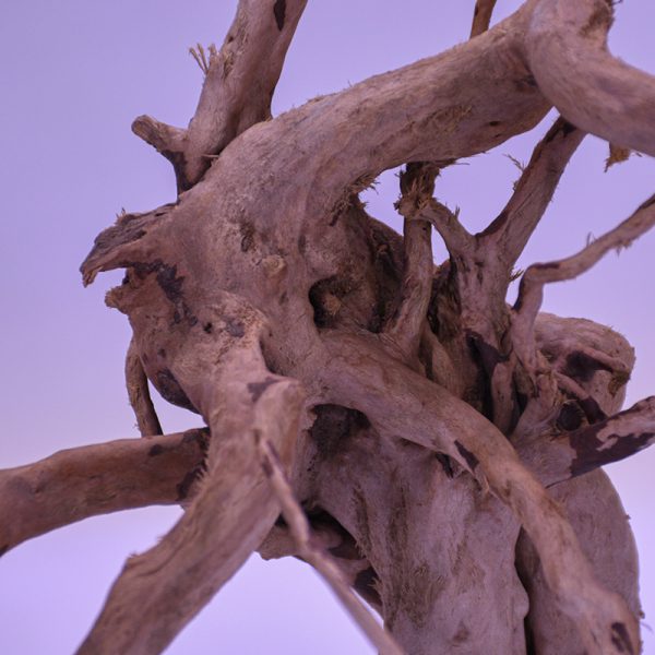 چوب دکوری آکواریوم driftwood code:w110