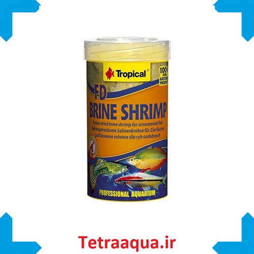 غذا آرتمیا مکعبی Brine shrimp 100ml