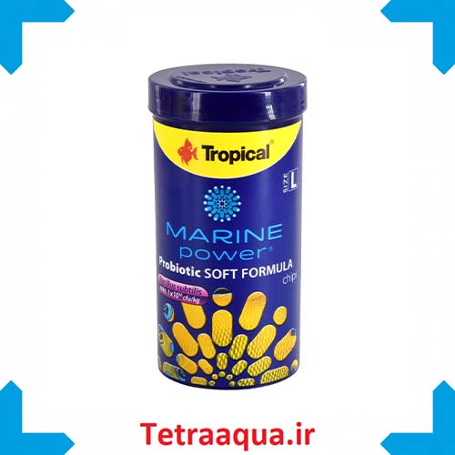 غذای ماهی آب شور Marine power Probiotic size L 100 ml