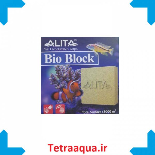 آلیتا بلوک فوق متخلخل 10*10 Alita Bio Block