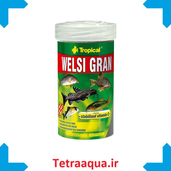 غذا ماهی کت تروپیکال Welsi Gran 100 ml