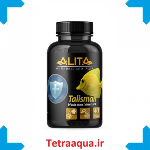 آلیتا کپسول تالیسمان 40 عددی Alita Talisman
