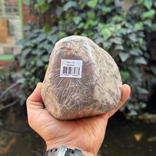 swan stone