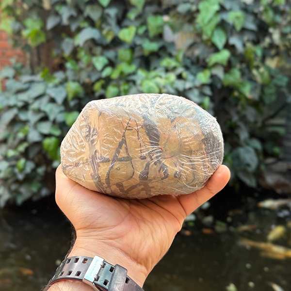 swan stone
