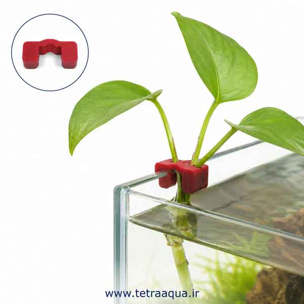 plant-holder