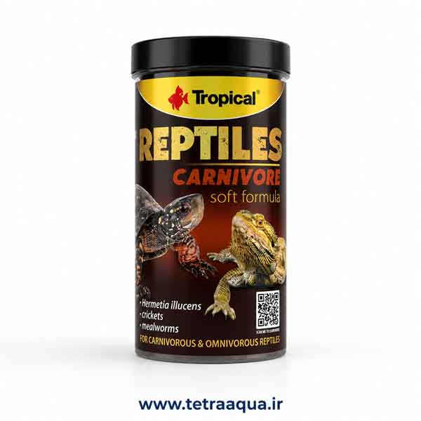 reptile-carnivore