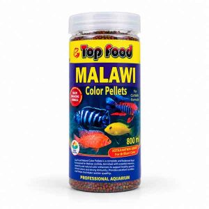 top fish