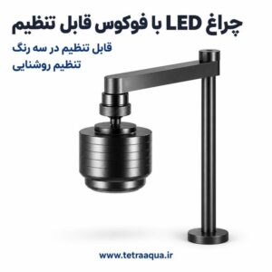 نور